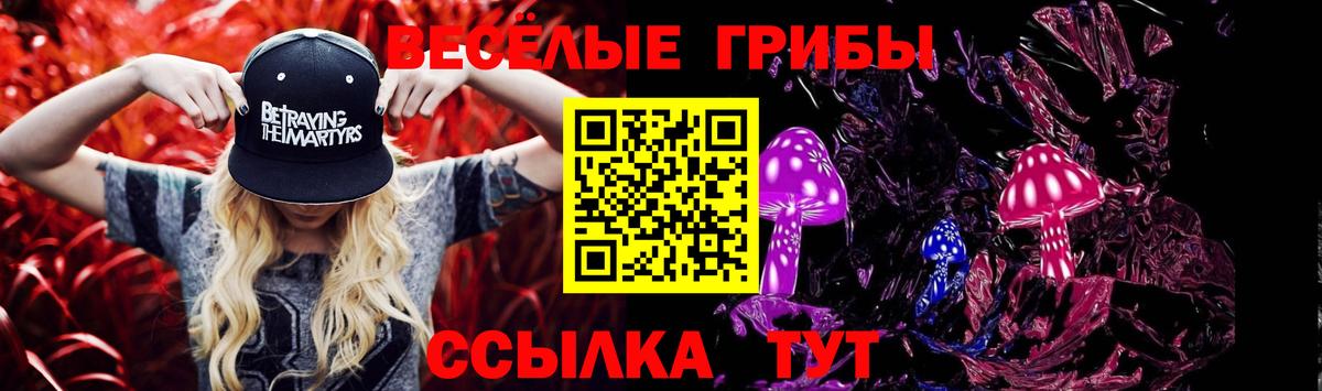 Псилоцибиновые грибы Magic Shrooms  Вход с VPN  что такое наркотик  Новоалександровск 
