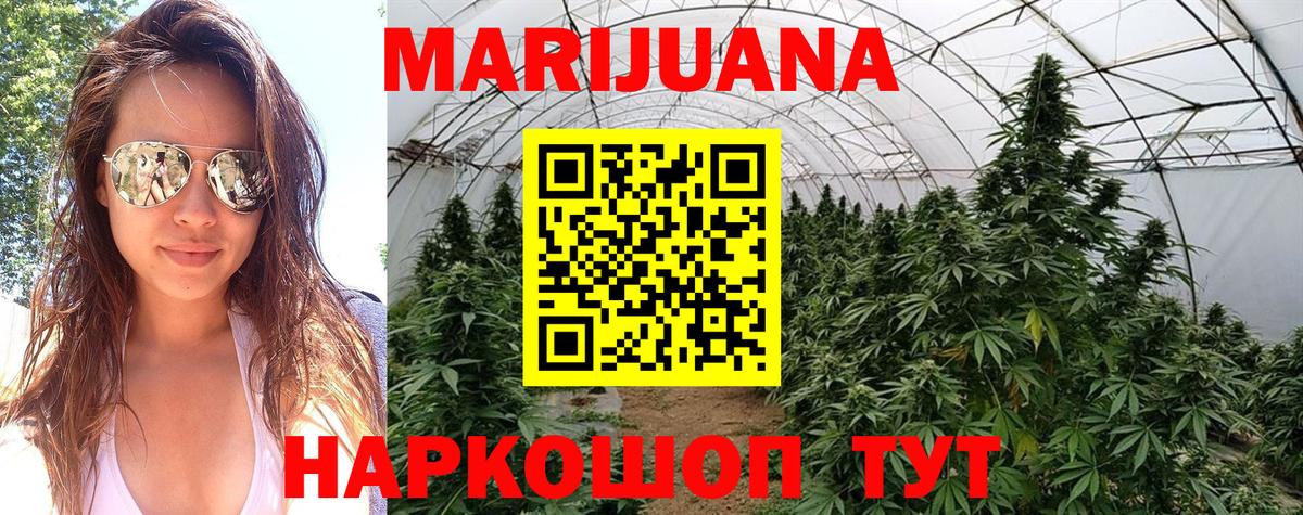Бошки марихуана LSD WEED Новоалександровск